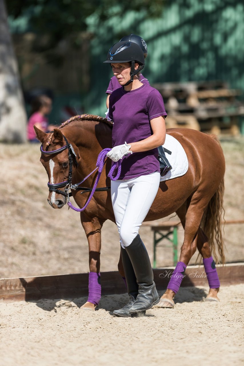 Bild 1 - Pony Akademie Turnier